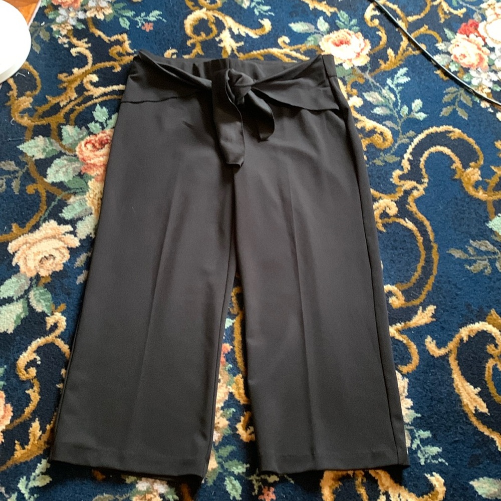 Verve blues cropped front tie pants. Never‎ worn